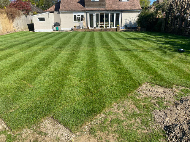 Gardener Turfing job almost laid