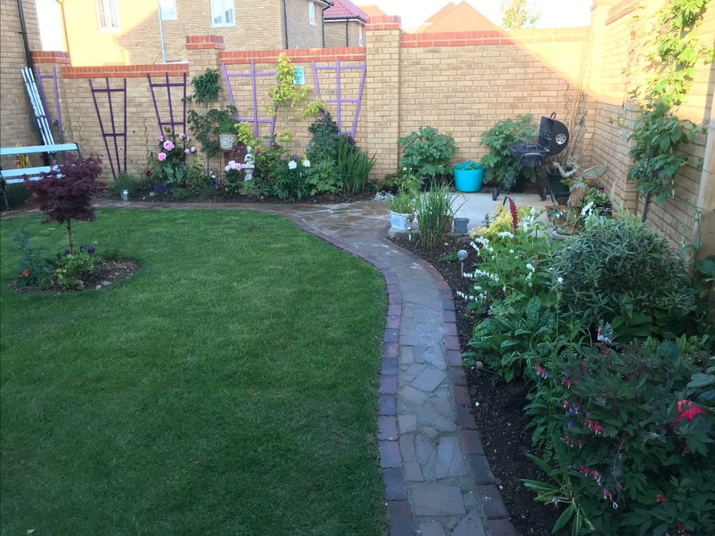 Matthew's garden transformation