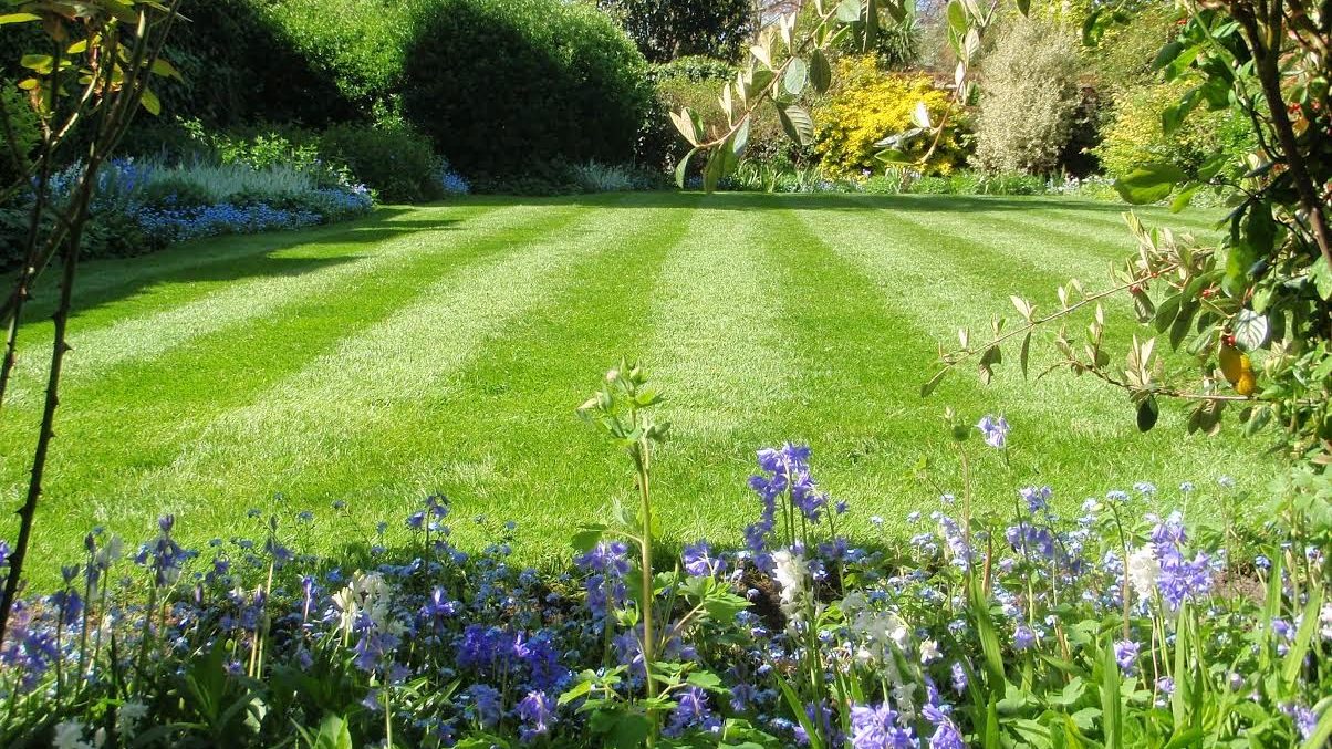 Mowed lawn with flowers in the foreground.
