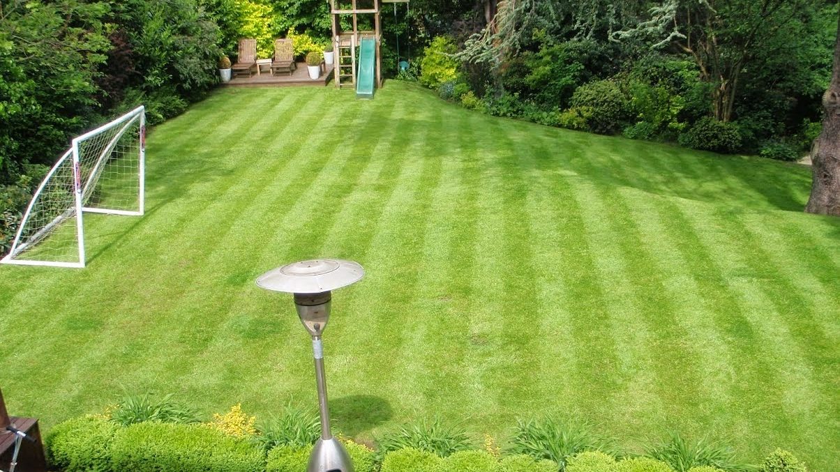 Freshly mowed lawn by Ed's gardener Clive in Hampton